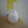 Hase