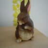 Hase