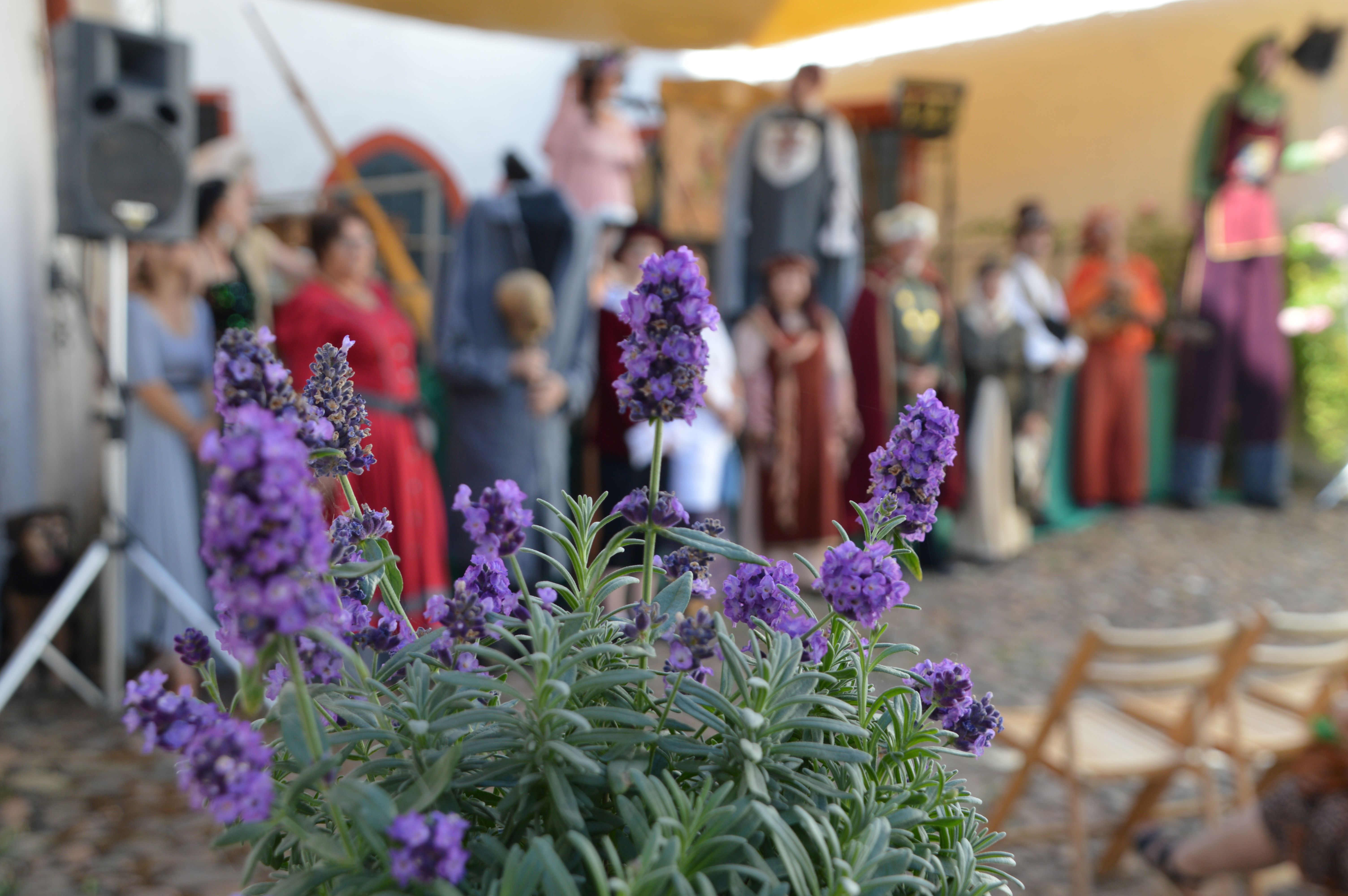 Schloss der Sagen – Ein Fest für die ganze Familie mit den Sagenfiguren unserer Heimat